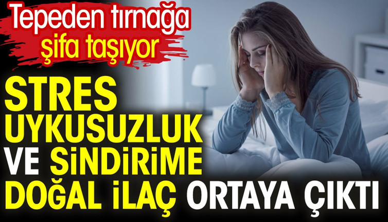 Stres uykusuzluk ve sindirime doğal ilaç ortaya çıktı. Tepeden tırnağa şifa taşıyor