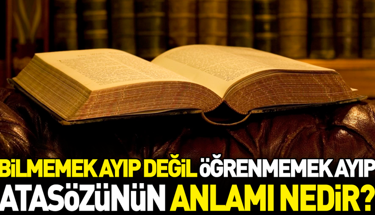 Bilmemek ayıp değil öğrenmemek ayıp atasözünün anlamı nedir?