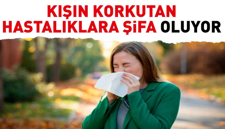 Kışın korkutan hastalıklara şifa oluyor. Dikkat çeken ot ortaya çıktı