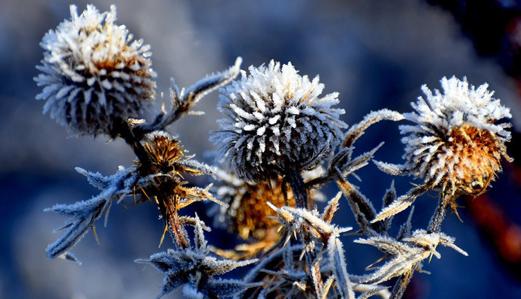 Kars'ı buz kesti! Eksi 3 dereceye düştü…