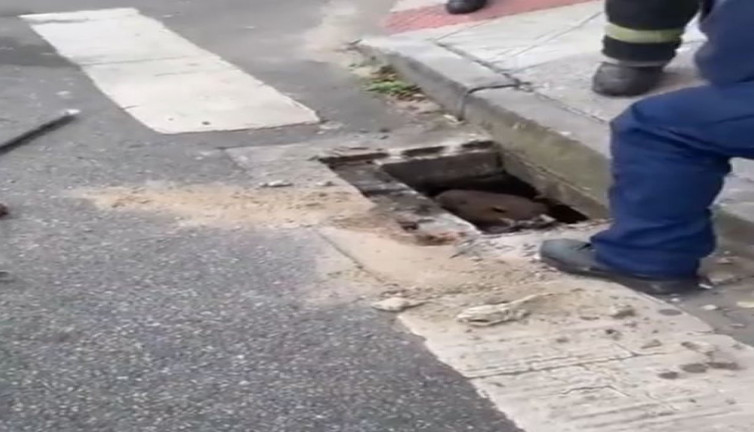 İnleme sesini duyanlar mazgala bakınca geri geri kaçtı. 1 metre uzunluğunda 50 kilo ağırlığındaki kapabari korkuttu