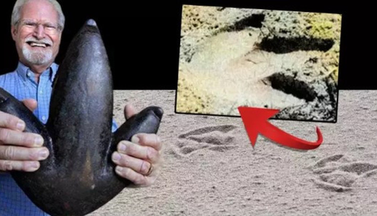 Sahildeki gizemin sırrı 40 yılda çözüldü. Üç parmaklı dev ayak izlerini görenler şoke oldu