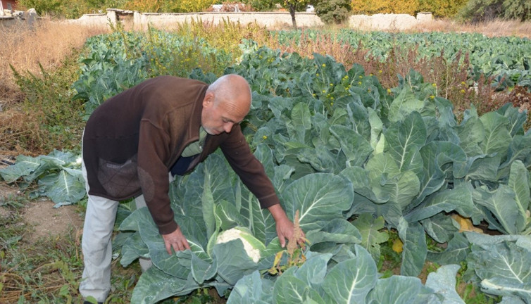 Denemeyle başladı ticarete dönüştü. Talep patlaması yaşandı, şimdi siparişlere yetişemiyor