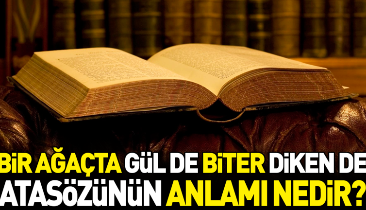 Bir ağaçta gül de biter diken de atasözünün anlamı nedir?