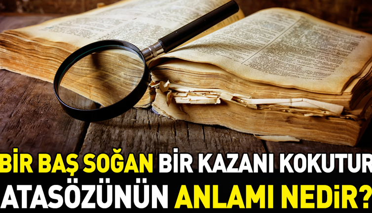 Bir baş soğan bir kazanı kokutur atasözünün anlamı nedir?