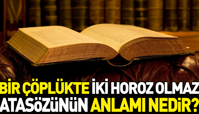 Bir çöplükte iki horoz olmaz atasözünün anlamı nedir?