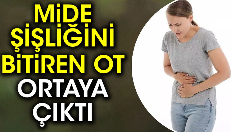 Mide şişliğini bitiren ot ortaya çıktı