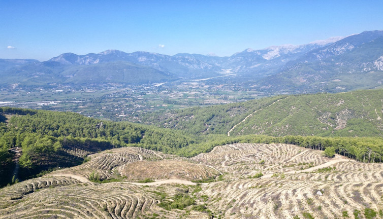 Cumhuriyet’in 100. yılında 22 bin fidan EPAL Türkiye Ormanları ile yaşam buldu