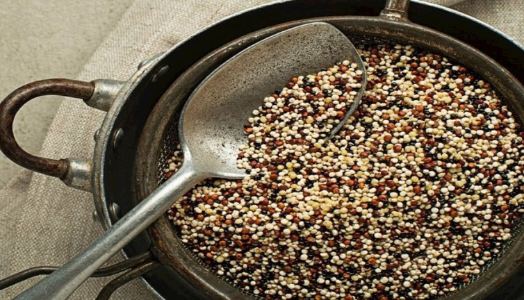 Hangi besinde etten daha fazla protein var