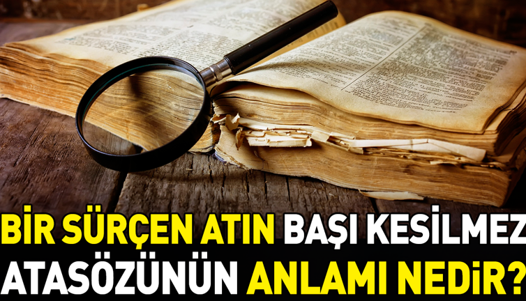 Bir sürçen atın başı kesilmez atasözünün anlamı nedir?