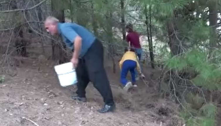 Köylü bedava topluyor kilosunu 200 TL'ye satıyor. Ormandaki merayı bulan köşeyi dönüyor