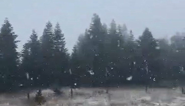 Kastamonu'ya yılın ilk karı düştü