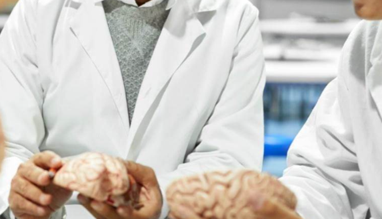Beyni vücuttan ayrı 5 saat çalıştırdılar. Çığır açacak icat