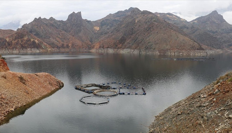 Erzurum Ayvalı Barajı'nda yetişiyor Japonlar ve Ruslar kapıyor. Devlet desteğiyle başladılar şimdi siparişlere yetişemiyorlar