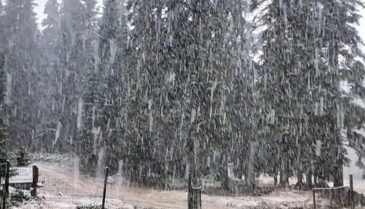 Bartın'a mevsimin ilk karı! 10 santimetreye ulaştı...