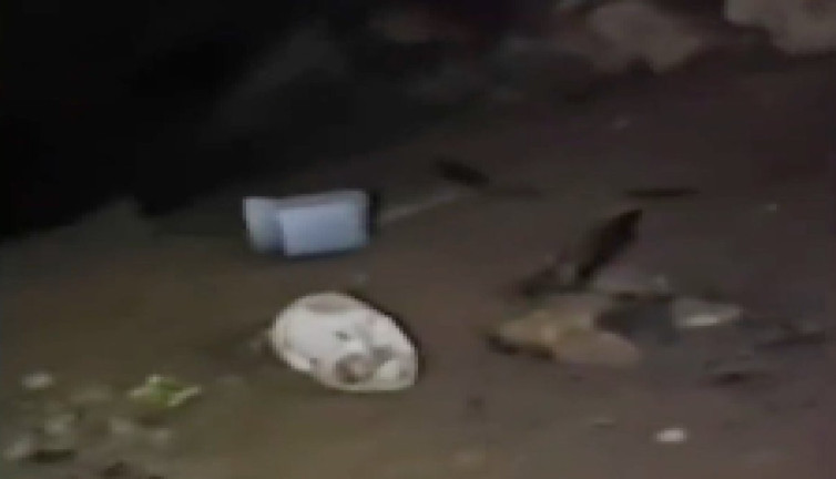 Milli Savunma Bakanlığı paylaştı: "Teröristlerin inlerine girmeye devam ediyoruz!"