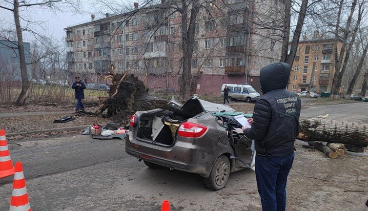 Hareket halindeki aracın üzerine ağaç devrildi. 2 ölü
