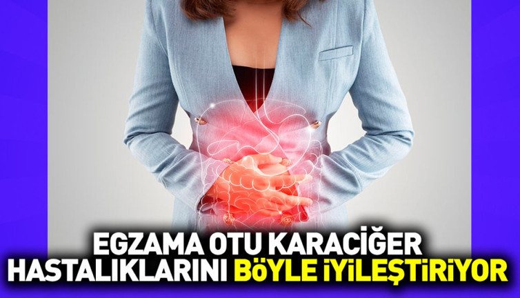 Egzama otu karaciğer hastalıklarını böyle iyileştiriyor