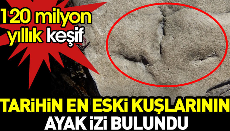Tarihin en eski kuşlarının ayak izi bulundu. 120 milyon yıllık keşif