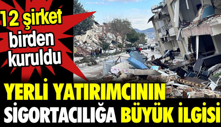 Yerli yatırımcının sigortacılığa büyük ilgisi. 12 şirket birden kuruldu