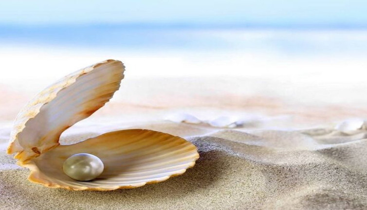 İstiridyeler nasıl inci yapar?