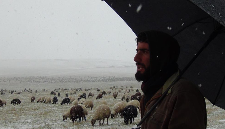 Kars’ta göçerlerin zorlu yolculuğu başladı