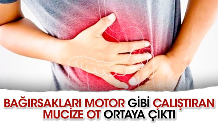 Bağırsakları motor gibi çalıştıran mucize ot ortaya çıktı