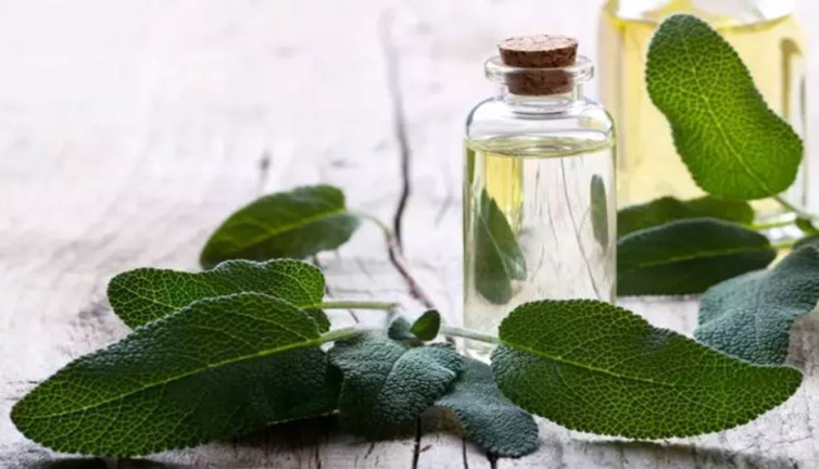 Adaçayı yağı cilde iyi gelir mi? Adaçayı yağının faydaları neler?