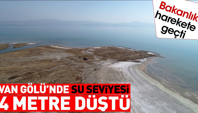 Van Gölü'nde su seviyesi 4 metre düşünce Bakanlık harekete geçti