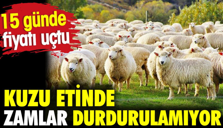Kuzu etinde zamlar durdurulamıyor. 15 günde fiyatı uçtu