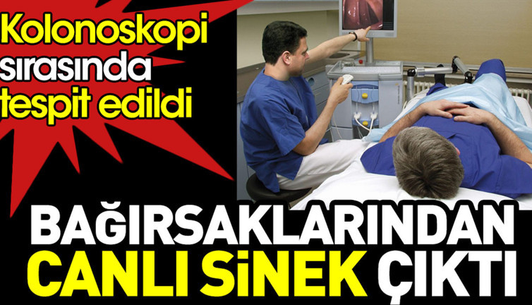 Bağırsaklarından canlı sinek çıktı. Kolonoskopide tespit edildi