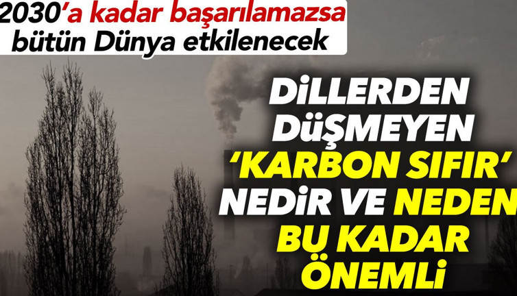 Dillerden düşmeyen 'Karbon Sıfır' nedir ve neden bu kadar önemli