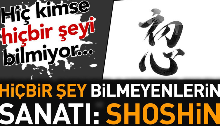 Hiçbir şey bilmeyenlerin sanatı: Shoshin. Bu öğretide hiç kimse hiçbir şeyi bilmiyor