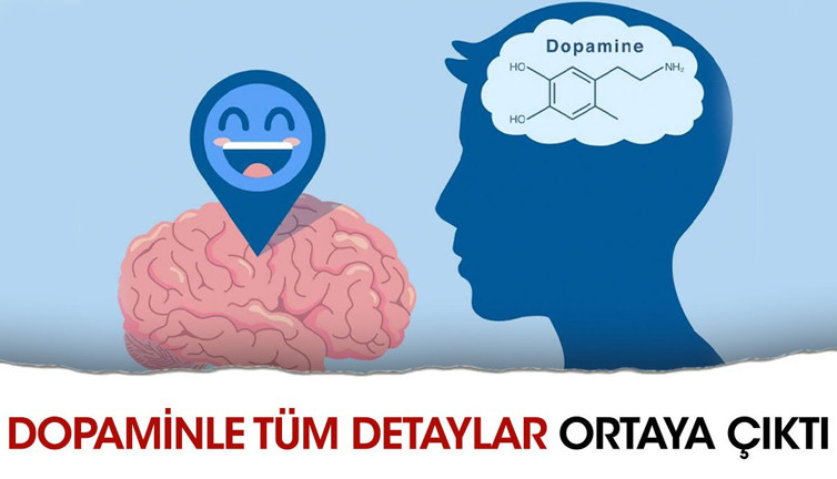Dopamin nedir? Eksikliğinin zararları nelerdir? Ne işe yarar ve Dopamin Detoksu nasıl yapılır?