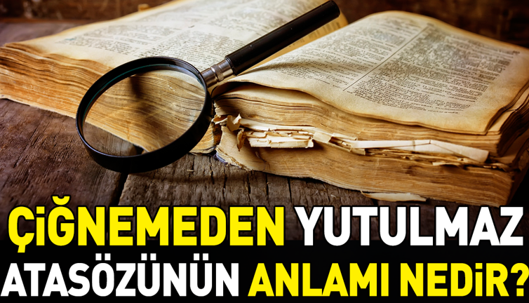 Çiğnemeden yutulmaz atasözünün anlamı nedir?