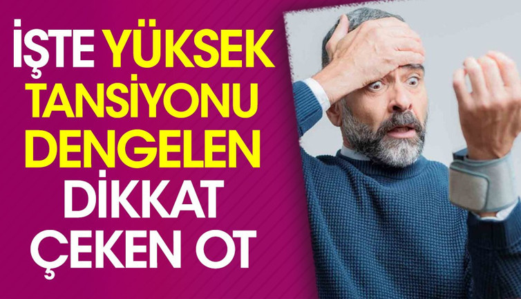 İşte yüksek tansiyonun dengelen dikkat çeken ot