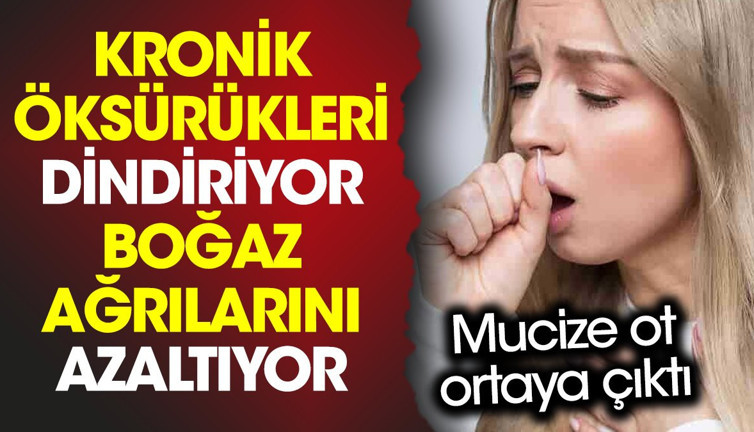 Kronik öksürükleri dindiriyor. Boğaz ağrılarını azaltıyor. Mucize ot ortaya çıktı
