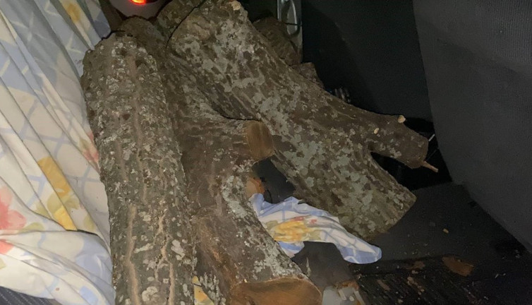 Pide salonunun odunlarını çalarken yakalandı