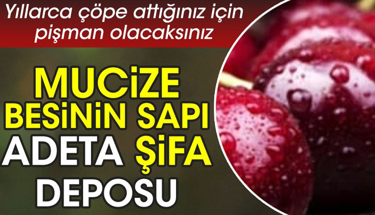 Mucize besinin sapı adeta şifa deposu. Yıllarca çöpe attığınız için pişman olacaksınız