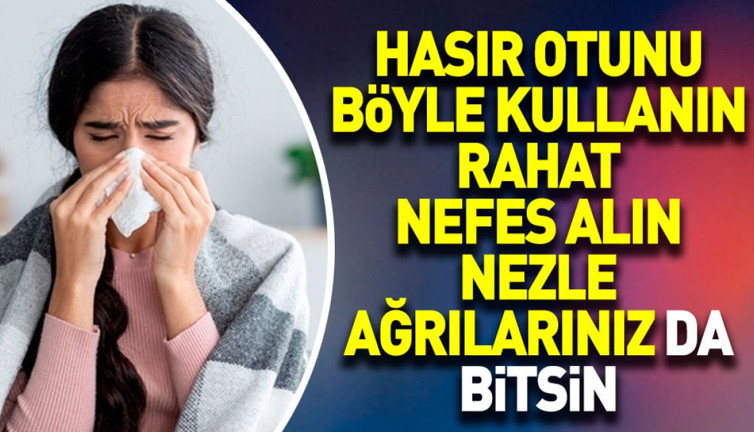 Hasır otunu böyle kullanın rahat nefes alın nezle ağrılarınız da bitsin
