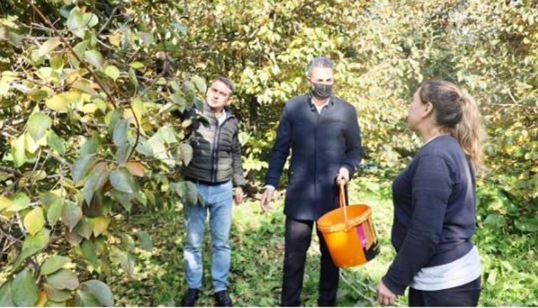 Her ağaç 100 kilo veriyor kilosu 15 TL'den satılıyor. Çiftçinin cebi parayla doldu