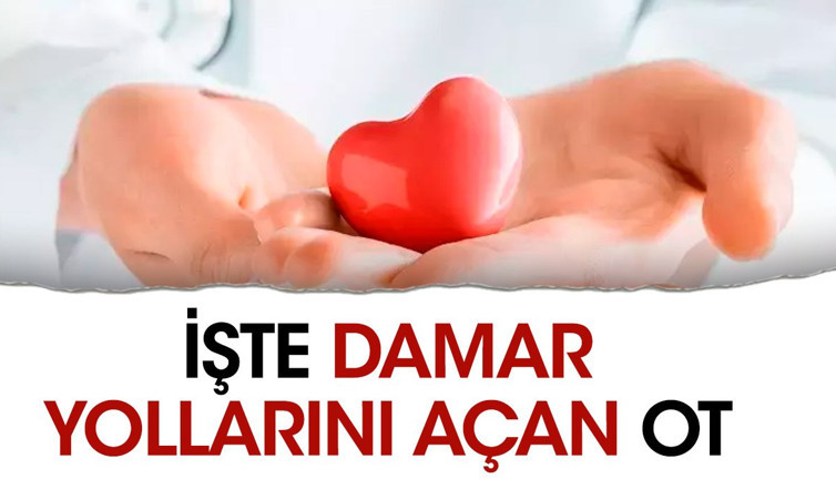 İşte damar yollarını açan ot