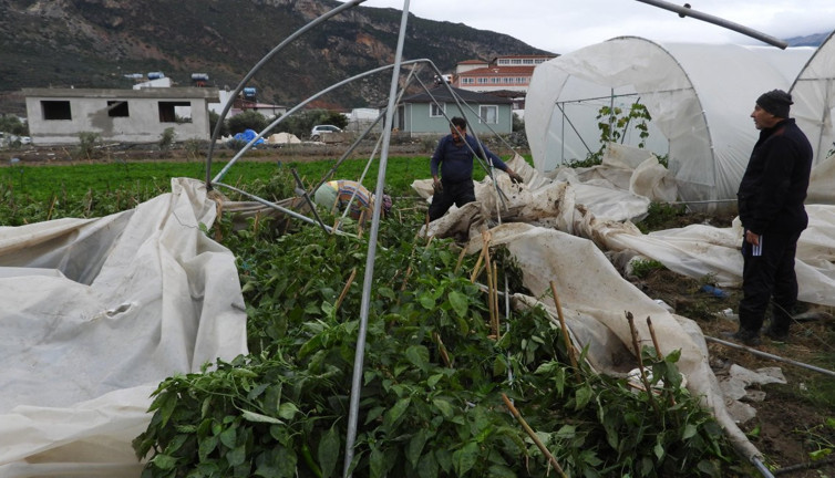 Samandağ’da hortum seraları yıktı