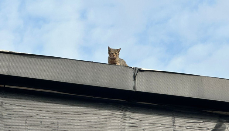 Mahsur kalan kredileri itfaiye kurtardı