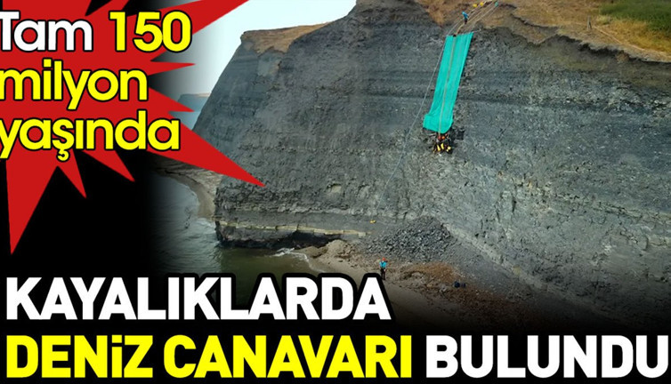 Kayalıklarda deniz canavarı bulundu. Tam 150 milyon yaşında