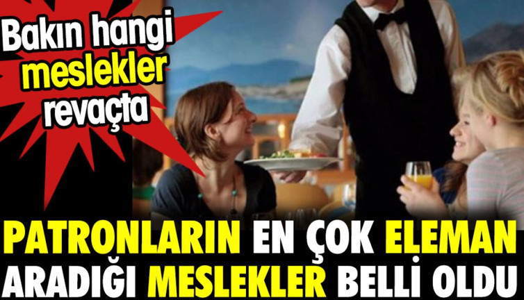 İşverenlerin en çok eleman aradığı meslekler açıkladı. Bakın hangi meslekler revaçta