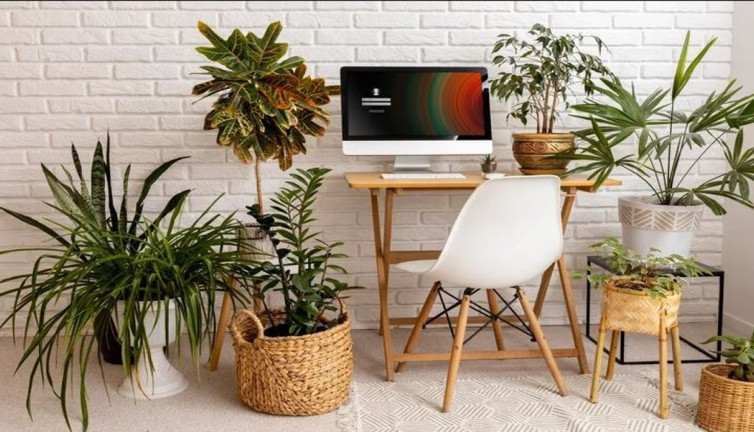 Bitkileriniz bu karışımla yeni ve capcanlı olacak! Çiçeklerin güzelliklerine güzellik katıyor