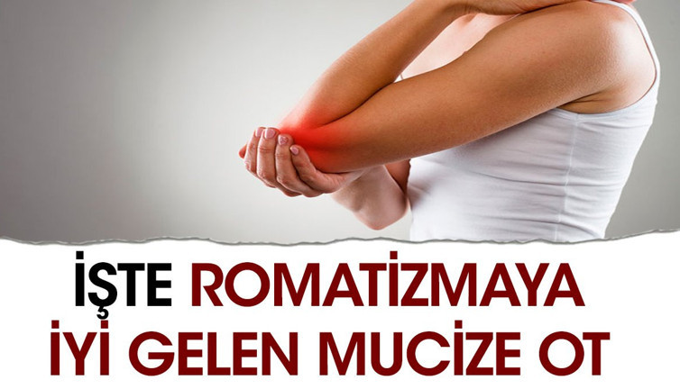 İşte romatizmaya iyi gelen mucize ot