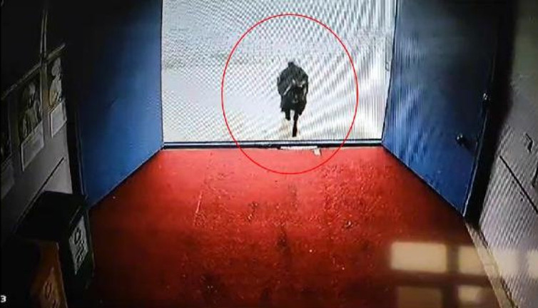 Okulun davetsiz misafiri. Öğrenciler kaçtı keçi de okula daldı