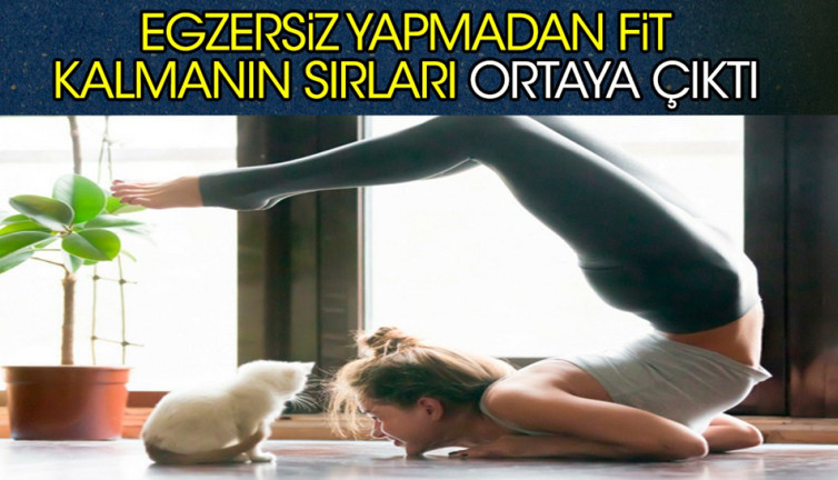Egzersiz yapmadan fit kalmanın sırları ortaya çıktı